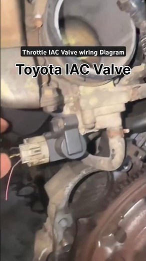 Wiring Diagram for Your Throttle IAC Valve