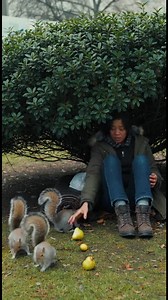 Squirrels Share Pears with a Stranger Watch as squirrels bring pears to a lonely woman, sparking joy. #fblifestyle #AI Generated using Kling AI . . . (For entertainment purposes only. Consult professionals if guidance on activities is presented. No brand affiliation is implied if any are shown. If inspired by true events, creative adaptations may be included. Content may include public footage.) | Fabiosa - Live easy