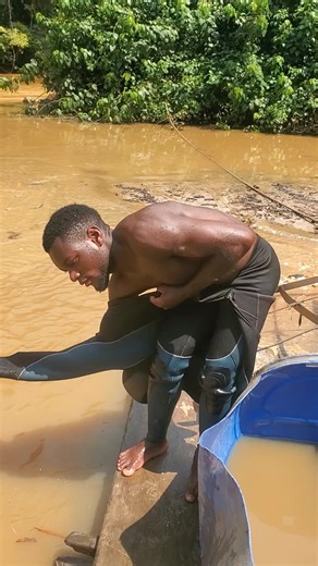 bio plus (@bio.plus35)’s videos with Joy - Miles Montana & HBK Live Act & Prince The Keyboo