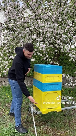 Beekeeping Basics: Inspecting a Bee Hive Setup
