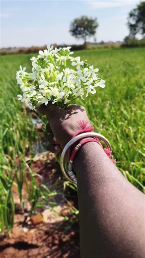 💖💖❤️‍🩹❤️