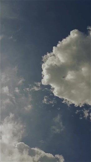 Serangga jenis Cochineal sendiri merupakan pewarna alami yang sudah digunakan sejak tahun 1500-an oleh Suku Aztec, Cochineal atau kutu daun ini menghasilkan warna karmin atau merah cerah yang aman untuk digunakan sebagai pewarna makanan atau kosmetik. #reels #duniafakta #fyp | Fakta Dunia