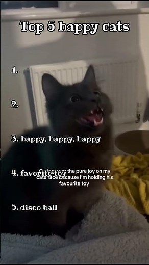Top 5 happy cats
