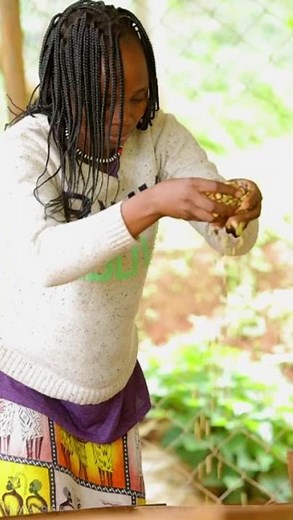 Coffee Processing to Grading