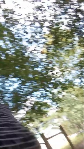 Debra Chunn on Reels