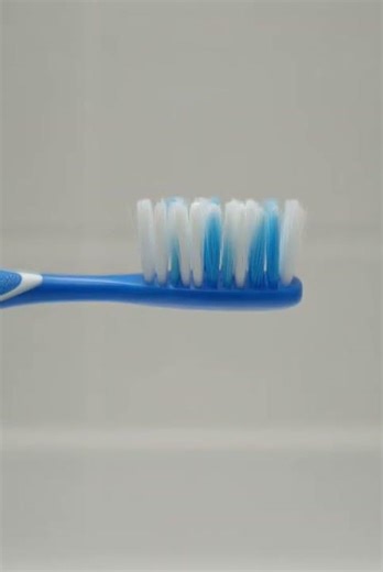 "The Toothbrush Chronicles: Scrubbing Through Life"