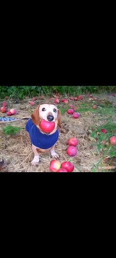 Videos&Reels❤️ on Instagram: "VAPE NATION"