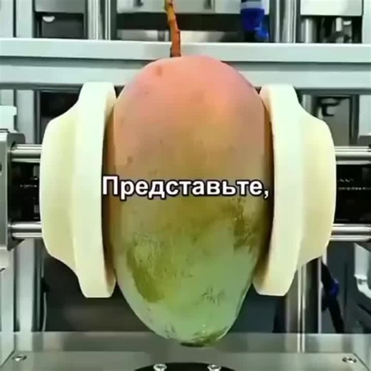 #мегахит #суперпесня #алахбабах #супныйдень #сало | song