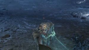 Demi-Human Swordmaster Onze | Elden Ring Wiki