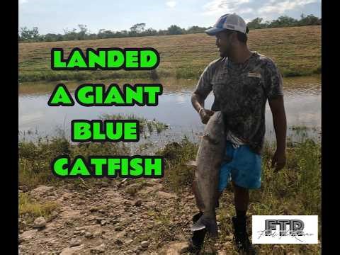 Giant Blue Catfish Catch & Cook New Honey Hole | Fade The River Fishing Hunting