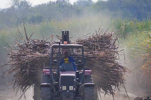 Date disagreement stalls Tongaat Hulett liquidation case - SABC News - Breaking news, special reports, world, business, sport coverage of all South African current events. Africa's news leader.