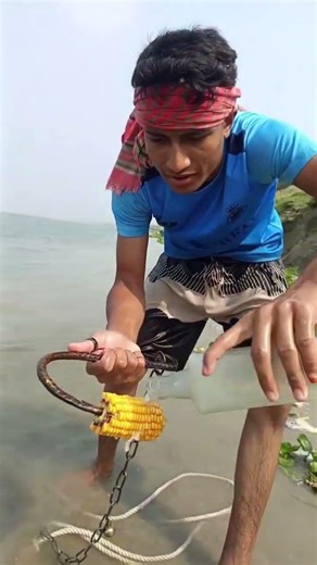 Traditional Shark Hunting in River By Hook With Throwing #fishinglife #fishingbait #reels