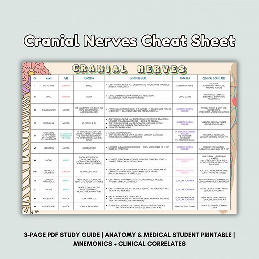 Cranial Nerve Cheat Sheet: Mnemonics, Anatomy Study Guide (PDF Printable) - Etsy