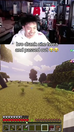 #minecraft #twea #fyp