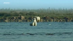 Dokumentationen: Kanada · Der weite Norden