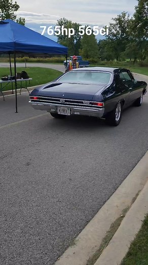 Awesome 69 chevelle! #chevelle #bigblock #v8 | Internal Combustion