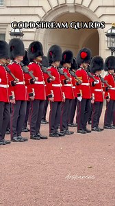Slow March: Figaro #coldstreamguards #changingoftheguard #SlowMarch #figaro #buckinghampalace #kingsguard #london | Donna Sharene