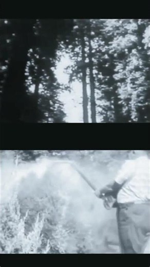 SILENT CONTAMINATION #rachelcarson #environmentalism #environmentalhistory