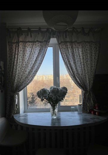 😹😹😹 #котики #самрешу