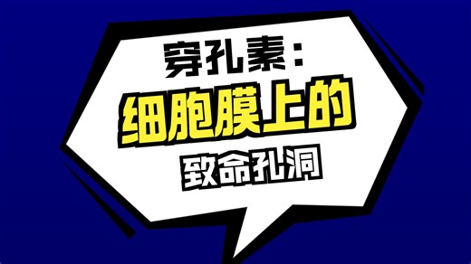 26执兽备考-CTL细胞毒性T细胞