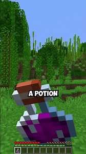 Uncraftable potion & tipped arrow in Minecraft