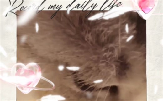 你如何对待我，我永远铭记在心