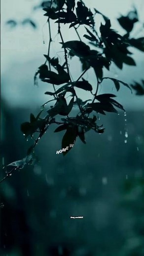 ATTENTION - CHARLIE PUTH ✨| lyrics| aesthetic video | slowed | EDIT