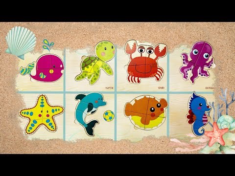 Animals in the Ocean Puzzles