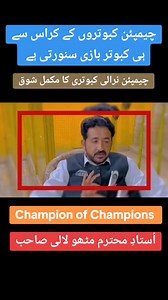 چیمپیئن کبوتری کا شوق کریں #piplanwally #piplanwalykboteer #birds #pigeons #pigeon #shots #Mianwalians #ApnaShok | Punjab Pegion Point