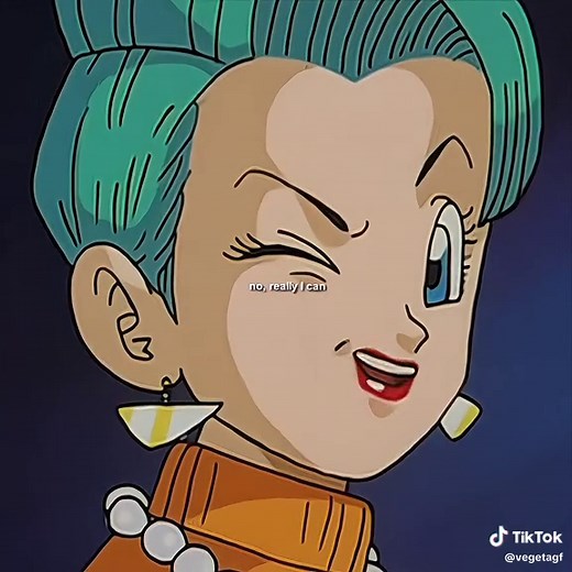 Vegeta and Bulma Relationship Highlights