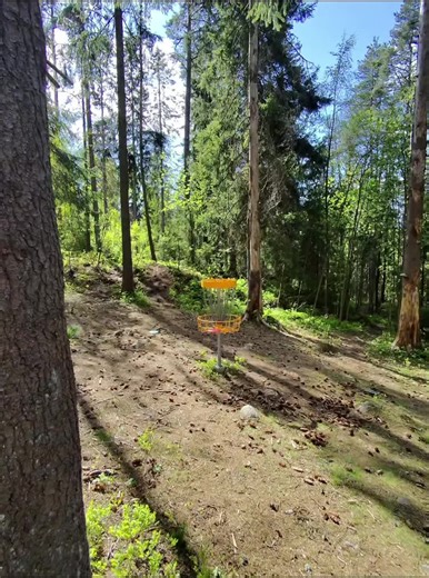 Dingers (@dingers9001)’s videos with original sound - Dingers