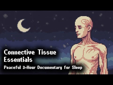 The Connective Tissues of the Body | Documentary for Sleep