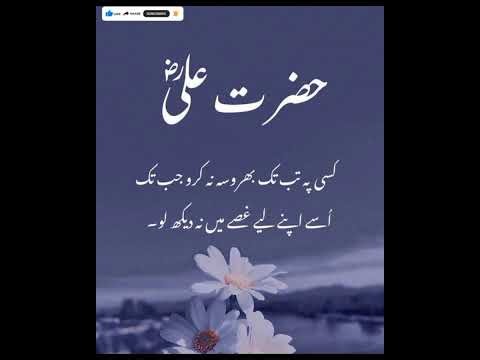 "Live Hadith Bayan | Hazrat Ali (RA) ki Hikmat Bhari Baatein | حضرت علیؓ کی حکمت بھری باتیں"