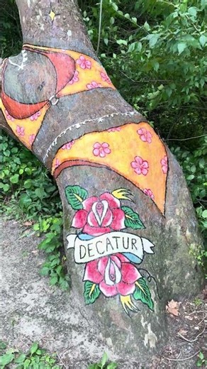 Decatur IL Bikini Tree #decaturil2026 #decaturil #vlog