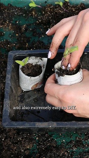 Easy DIY Newspaper Plant Pots 🪴 #garden #gardening #diygarden