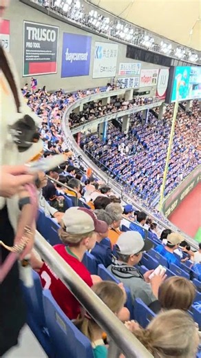 東京ドーム3塁側2階席はこんな感じたよ