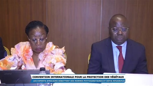 🌱 The 2025 IPPC Regional Workshop for Africa has officially begun in Brazzaville, Congo 🇨🇬! The meeting was opened by Pascal Robin Ongoka, Director of Cabinet, Ministry of Agriculture, and brings together NPPOs, RPPOs, and international partners. Over the coming days, participants will: ✅ Review draft International Standards for Phytosanitary Measures (ISPMs) ✅ Share experiences and strengthen collaboration ✅ Discuss regional phytosanitary priorities and challenges This workshop is a key step