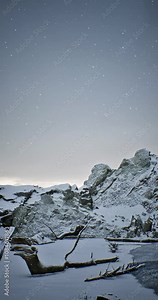 Vertical Snowy mountain range with a lone tree branch sticking out of the snow