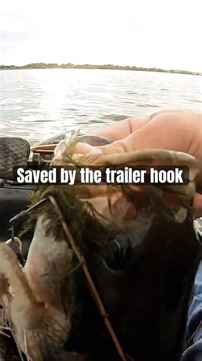 What kind of Trailer Hook works best??? #fishing #bassfishing #spinnerbait
