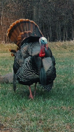 Spring thunder is closing in! Are you ready?!