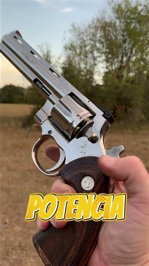 🔫 The most ELEGANT AND POWERFUL REVOLVER 🐍⚙️ | Colt Python