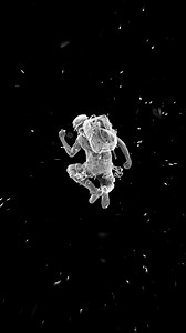 I triggered 200 cameras using a powerpoint clicker on my finger 🙈 That is from episode 255, fresh from today: youtube.com/ericpare Created at the @xanglestudio #gaussiansplatting #3dgs #photography | Eric Paré