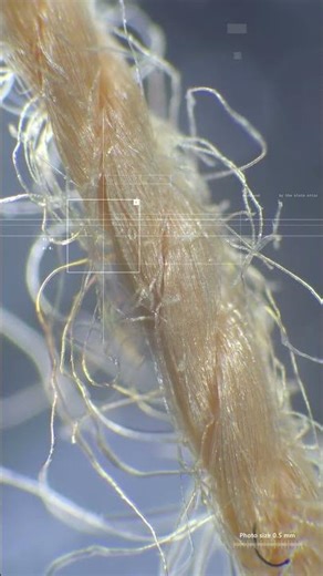 Medical thread ,structure of different threads, 3D and microscopic #science #microscope #biology