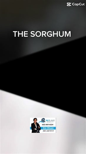 Beautiful Home for Sale in Central Hill Farms