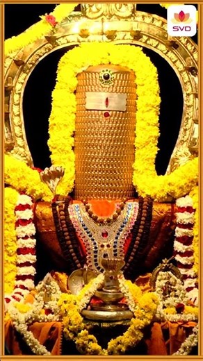 Jayagowri Shankaram | Nanjundeshwara Swamy | Archana Udupa | K.M. Swamy | M.S. Maruthi #shorts