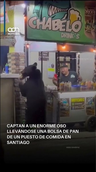 The viral video of the stealing bear that is breaking the internet.