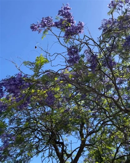 Orygen on Instagram: "Happy New Year! There's so much we're looking forward to this year, but first here's a look back at how Orygen ended 2025 👇⁠ ⁠ 1+2. We were thrilled to launch MOST-Nexus, which will see Orygen Digital's MOST platform expand globally – in collaboration with @mdhsunimelb and thanks to $14m in funding from @wellcometrust.⁠ ⁠ 3. @headspacewerribee held their annual art exhibition, celebrating the amazing creativity of the centre's ninjaART participants 🎨⁠ ⁠ 4. I