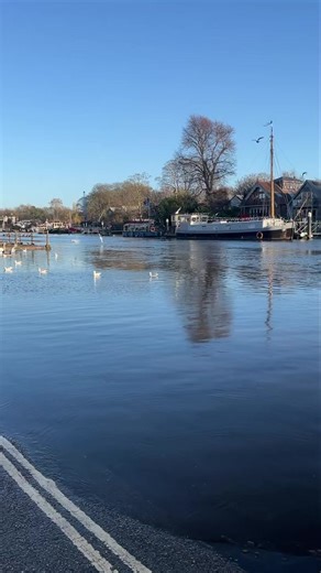 The tide was high this afternoon in Twickenham 🦢 #twickenham #riverthames #london | Twickenham Nub News