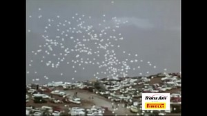 9.1K views · 376 reactions | THROWBACK THURSDAY! 1970 Trans Am at Laguna Seca and Lime Rock. Trans Am returns to WeatherTech Raceway Laguna Seca for the Trans Am SpeedFest May 1-2. Trans Am returns to Lime Rock Park for the Memorial Day Classic May 29-31 Which one of these cars is your favorite? gotransam.com | The Trans Am Series presented by Pirelli | Facebook