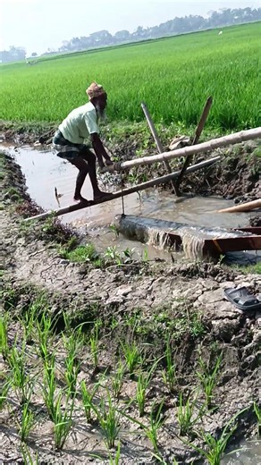 4041.Marginal Rural Irrigation Image